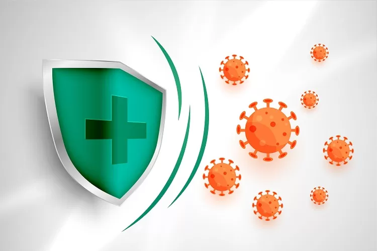 antioksidan untuk tingkatkan daya tahan tubuh